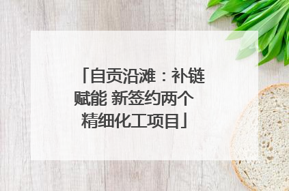 自贡沿滩：补链赋能 新签约两个精细化工项目