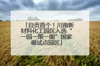 自贡首个！川南新材料化工园区入选“一园一策一图”国家级试点园区