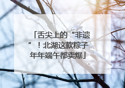 舌尖上的“非遗”！北湖这款粽子年年端午都卖爆