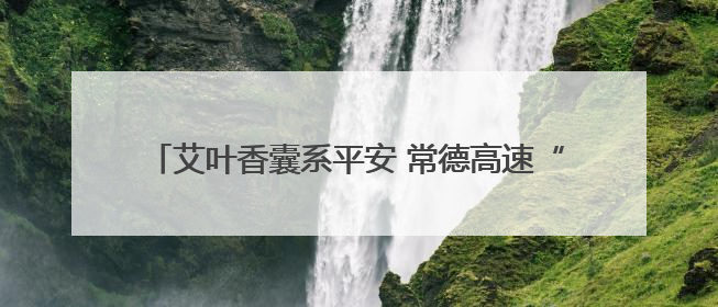 艾叶香囊系平安 常德高速“路灯”志愿者端午暖心行动
