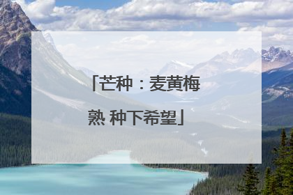芒种：麦黄梅熟 种下希望