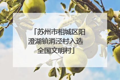 苏州市相城区阳澄湖镇消泾村入选全国文明村