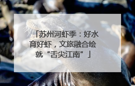 苏州河虾季：好水育好虾，文旅融合绘就“舌尖江南”