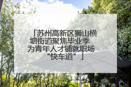 苏州高新区狮山横塘街道聚焦毕业季 为青年人才铺就职场“快车道”
