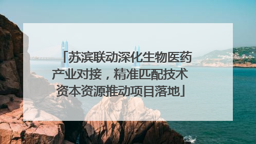 苏滨联动深化生物医药产业对接，精准匹配技术资本资源推动项目落地