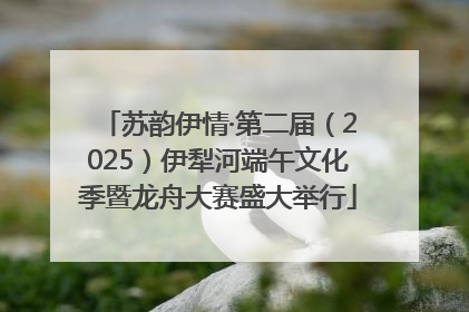 苏韵伊情·第二届（2025）伊犁河端午文化季暨龙舟大赛盛大举行
