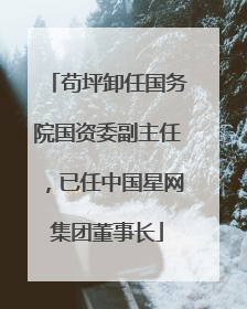 苟坪卸任国务院国资委副主任，已任中国星网集团董事长