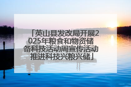 英山县发改局开展2025年粮食和物资储备科技活动周宣传活动 推进科技兴粮兴储