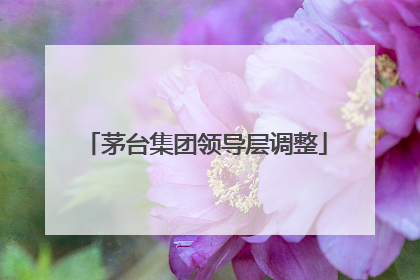 茅台集团领导层调整