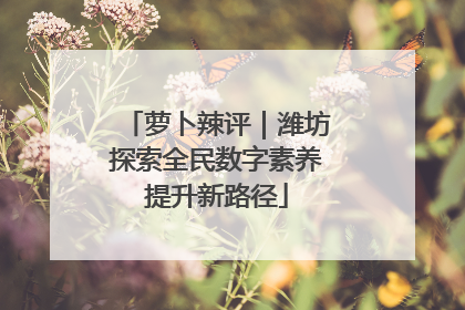萝卜辣评｜潍坊探索全民数字素养提升新路径