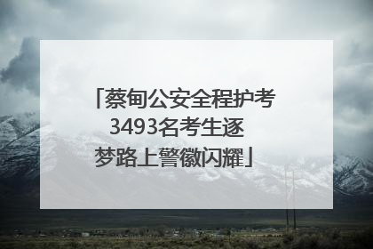 蔡甸公安全程护考 3493名考生逐梦路上警徽闪耀