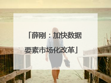 薛刚：加快数据要素市场化改革