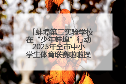 蚌埠第三实验学校在“少年蚌埠”行动2025年全市中小学生体育联赛啦啦操比赛中获佳绩