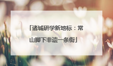 诸城研学新地标：常山脚下非遗一条街