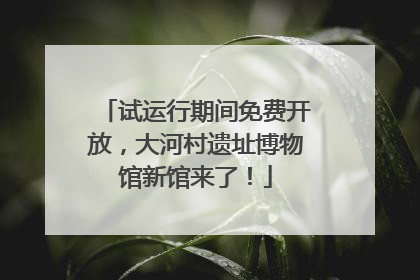 试运行期间免费开放，大河村遗址博物馆新馆来了！