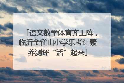 语文数学体育齐上阵，临沂金雀山小学乐考让素养测评“活”起来