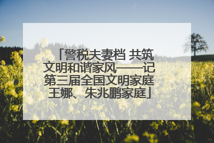 警税夫妻档 共筑文明和谐家风——记第三届全国文明家庭王娜、朱兆鹏家庭