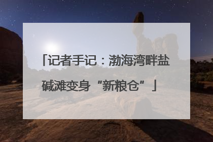 记者手记：渤海湾畔盐碱滩变身“新粮仓”