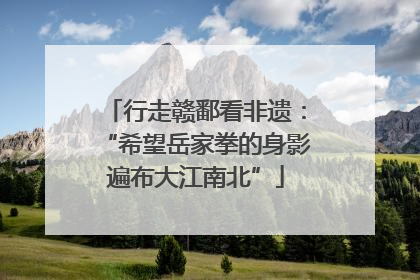 行走赣鄱看非遗：“希望岳家拳的身影遍布大江南北”