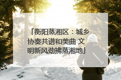 衡阳蒸湘区：城乡协奏共谱和美曲 文明新风劲拂蒸湘地
