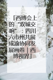 西博会上的“双城交响”：四川六市州共展成渝协同发展画卷｜西博视界