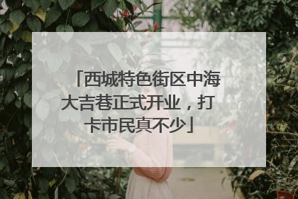 西城特色街区中海大吉巷正式开业，打卡市民真不少