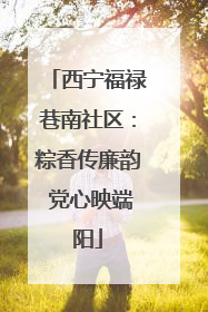 西宁福禄巷南社区：粽香传廉韵 党心映端阳