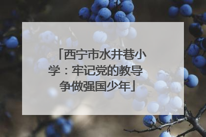 西宁市水井巷小学：牢记党的教导 争做强国少年