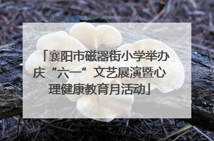 襄阳市磁器街小学举办庆“六一”文艺展演暨心理健康教育月活动
