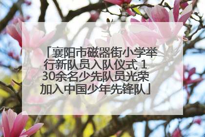 襄阳市磁器街小学举行新队员入队仪式 130余名少先队员光荣加入中国少年先锋队