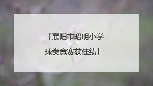 襄阳市昭明小学球类竞赛获佳绩