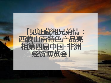 见证藏湘兄弟情：西藏山南特色产品亮相第四届中国-非洲经贸博览会