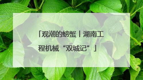 观潮的螃蟹丨湖南工程机械“双城记”