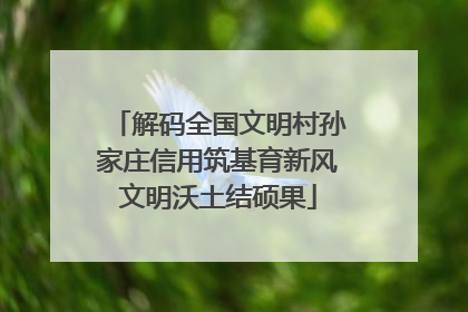 解码全国文明村孙家庄信用筑基育新风文明沃土结硕果