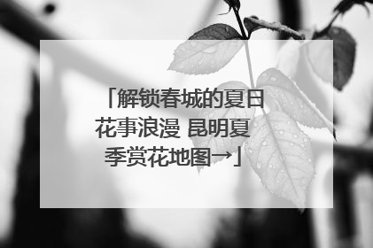 解锁春城的夏日花事浪漫 昆明夏季赏花地图→