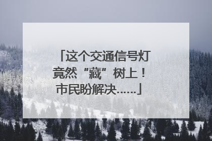 这个交通信号灯竟然“藏”树上！市民盼解决……