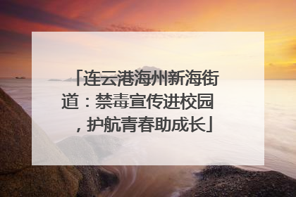 连云港海州新海街道：禁毒宣传进校园，护航青春助成长