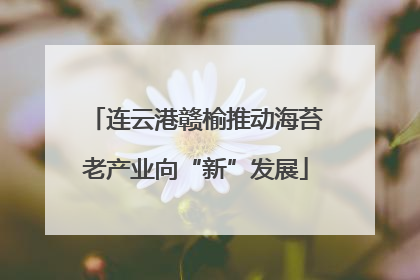 连云港赣榆推动海苔老产业向“新”发展
