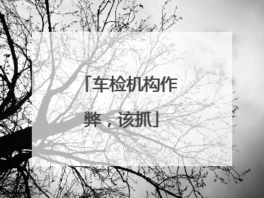 车检机构作弊，该抓