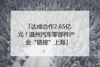 达成合作2.65亿元！温州汽车零部件产业“链接”上海