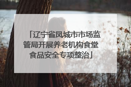 辽宁省凤城市市场监管局开展养老机构食堂食品安全专项整治