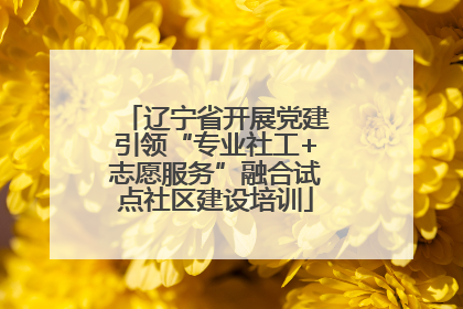 辽宁省开展党建引领“专业社工+志愿服务”融合试点社区建设培训