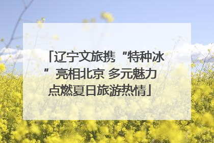 辽宁文旅携“特种冰”亮相北京 多元魅力点燃夏日旅游热情