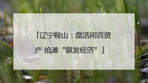 辽宁鞍山：盘活闲置资产 抢滩“银发经济”