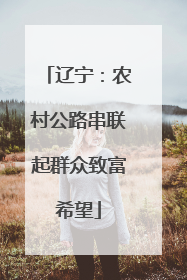 辽宁：农村公路串联起群众致富希望