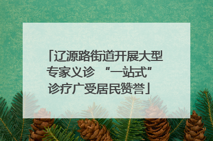 辽源路街道开展大型专家义诊 “一站式”诊疗广受居民赞誉