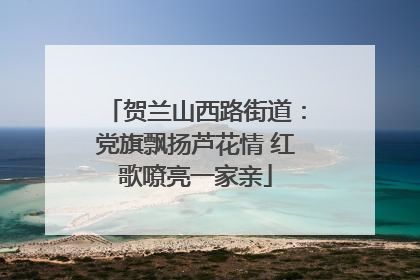 贺兰山西路街道：党旗飘扬芦花情 红歌嘹亮一家亲