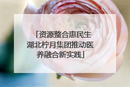 资源整合惠民生 湖北柠月集团推动医养融合新实践