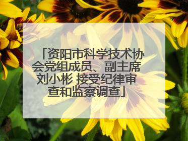 资阳市科学技术协会党组成员、副主席刘小彬 接受纪律审查和监察调查