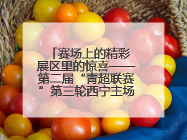 赛场上的精彩 展区里的惊喜——第二届“青超联赛”第三轮西宁主场比赛见闻